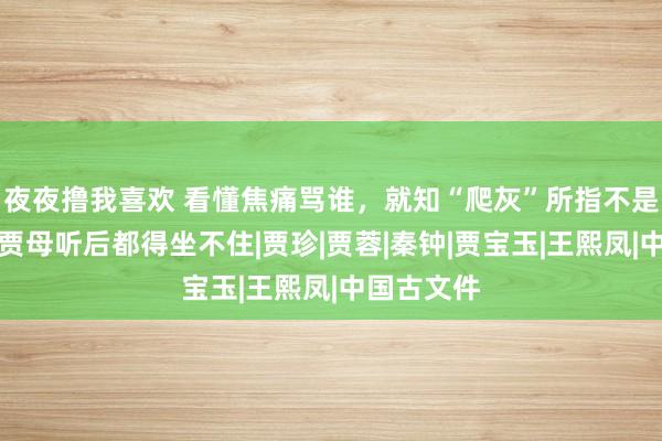 夜夜撸我喜欢 看懂焦痛骂谁，就知“爬灰”所指不是秦可卿，贾母听后都得坐不住|贾珍|贾蓉|秦钟|贾宝玉|王熙凤|中国古文件