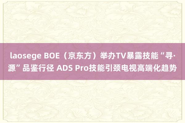 laosege BOE（京东方）举办TV暴露技能“寻·源”品鉴行径 ADS Pro技能引颈电视高端化趋势